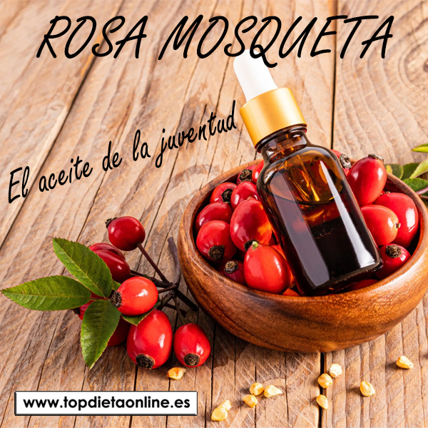 Rosa mosqueta